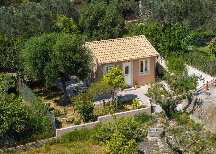 Aliki\'S Home